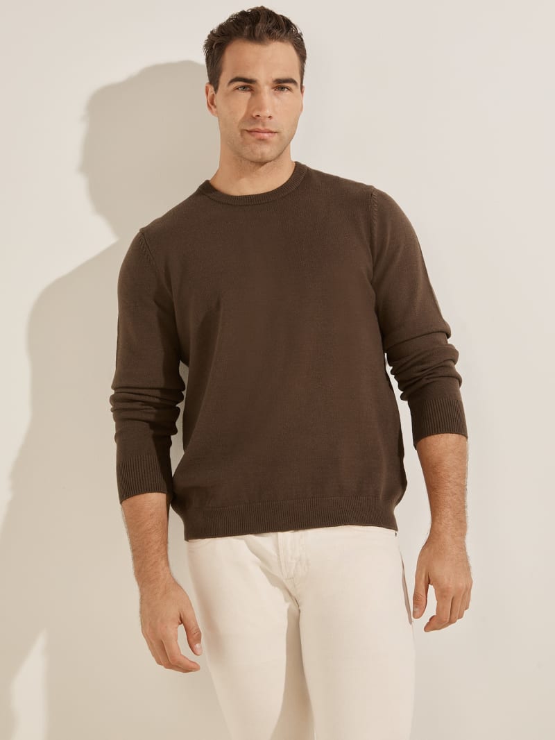 Guess Eco Liam Crew Men's Sweaters Chocolate | 7436-WPEJA