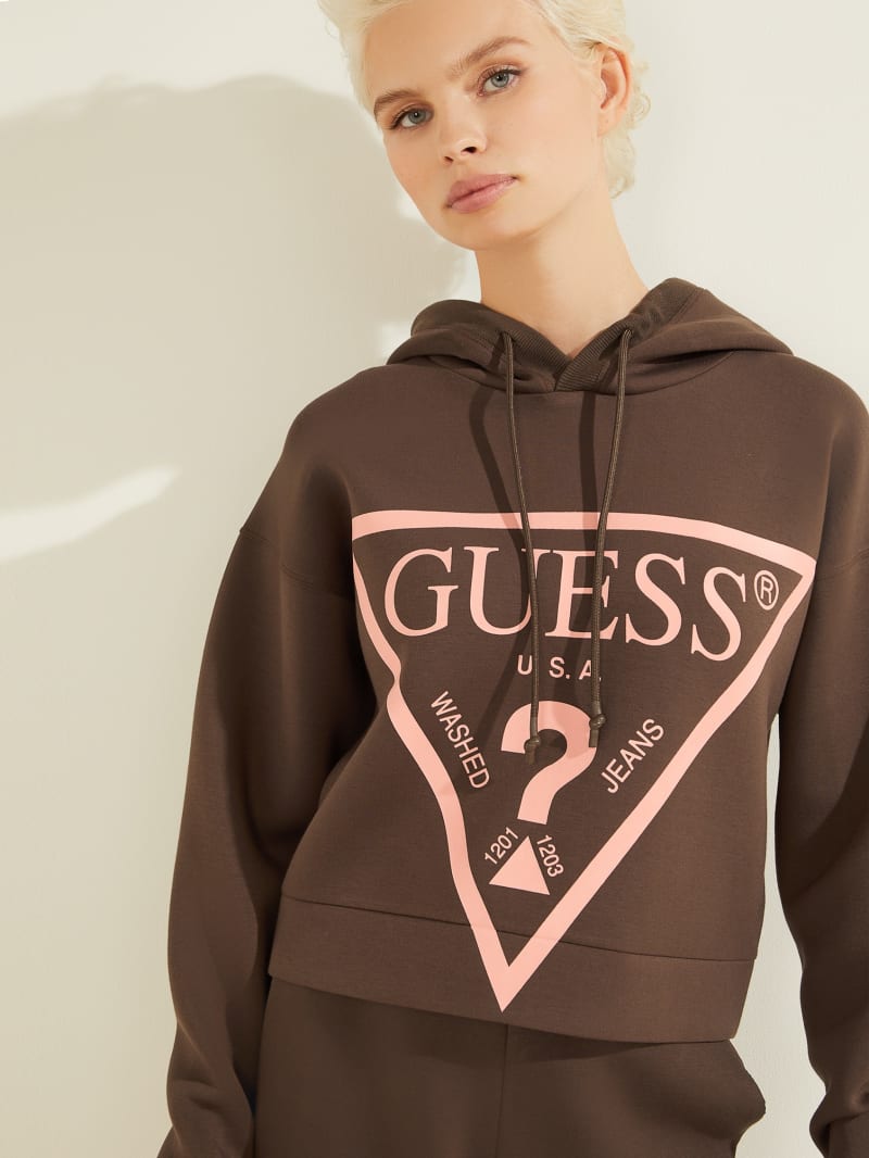 Guess Eco Alisa Logo Women's Hoodie Chocolate | 4725-SZVYR