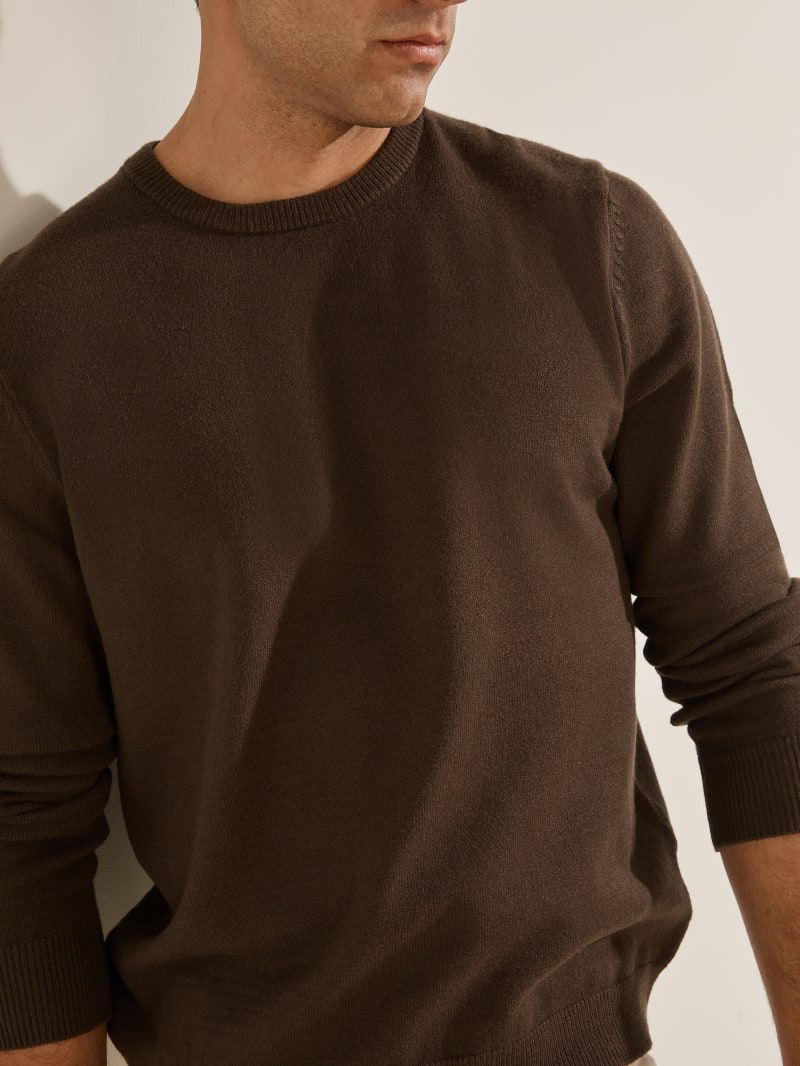 Guess Eco Liam Crew Men's Sweaters Chocolate | 7436-WPEJA